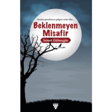 Beklenmeyen Misafir - İsmet Gülseçgin