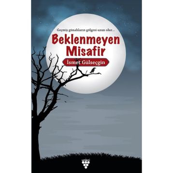 Beklenmeyen Misafir - İsmet Gülseçgin