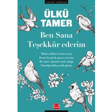 Ben Sana Teşekkür Ederim - Ülkü Tamer
