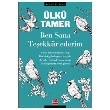 Ben Sana Teşekkür Ederim - Ülkü Tamer