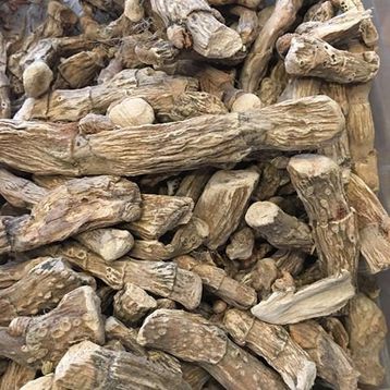 Benim Aktar 500 gr Hazanbel Kökü