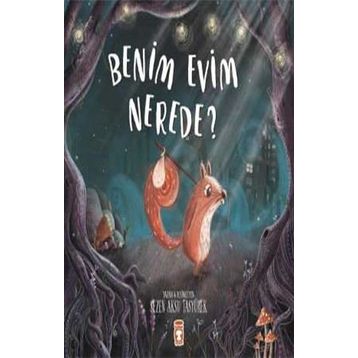 Benim Evim Nerede? - Sezen Aksu Taşyürek