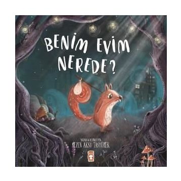 Benim Evim Nerede? - Sezen Aksu Taşyürek