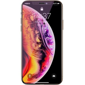 Benks Apple iPhone 12 Pro Max 0.3 mm V Pro Anti-Dust Privacy Screen Protector