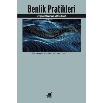 Benlik Pratikleri - Rein Raud