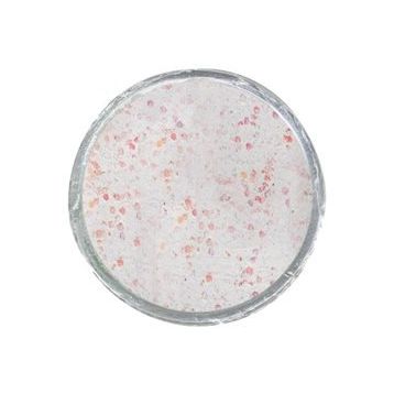 Berkley PowerBait Glow In The Dark Trout Bait Sahte Yemi