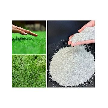 Bermuda Grass Cynodon Dactylon 5 kg Çim Tohumu