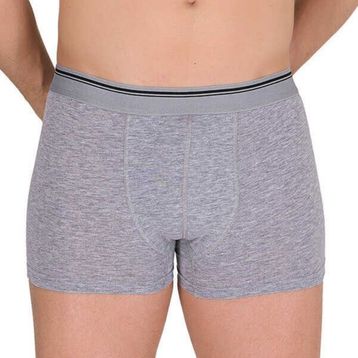 Berrak 1097 6'lı Gri Erkek Boxer