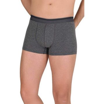 Berrak 1097 Gri Erkek Boxer