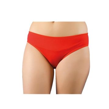 Berrak 2056 Kadın Full Licra Düz Bikini Külot