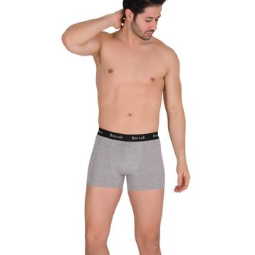 Berrak 4476 Pamuk Modal Likralı Gri Erkek Boxer