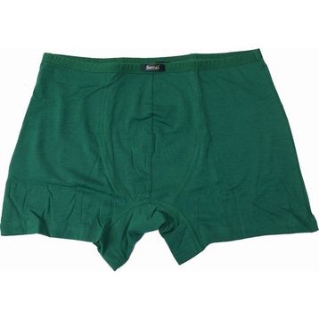 Berrak 4488 Modal Renkli 6'lı Paket Yeşil Erkek Boxer