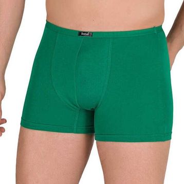 Berrak 4488 Modal Yeşil Erkek Boxer