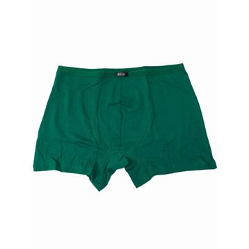 Berrak 4488 Modal Yeşil Erkek Boxer