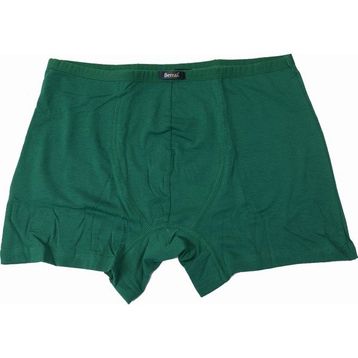 Berrak 4488 Modal Yeşil Erkek Boxer