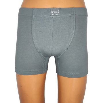 Berrak 4498 Renkli Füme Erkek Boxer