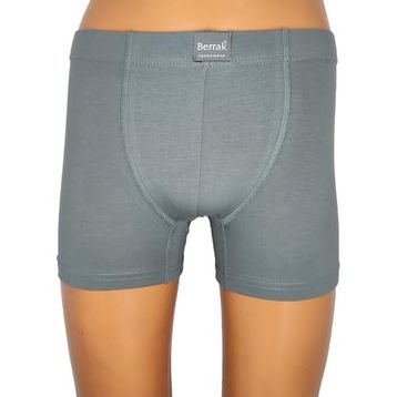 Berrak 4498 Renkli Füme Erkek Boxer