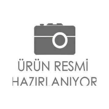 Beş Benzemez Dinozorlar Şehri - Beş Benzemez'in Serüvenleri 2 Aşkın Güngör