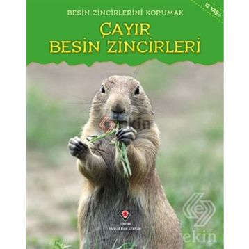 Besin Zincirlerini Korumak Çayır Besin Zincirleri - Buffy Silverman