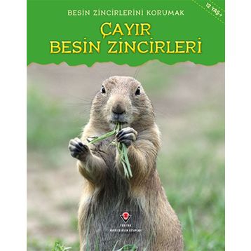 Besin Zincirlerini Korumak Çayır Besin Zincirleri - Buffy Silverman