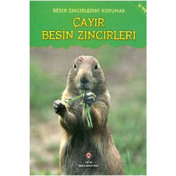 Besin Zincirlerini Korumak Çayır Besin Zincirleri - Buffy Silverman