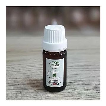 Beslenme Dedektifi 10 ml Nane Yağı