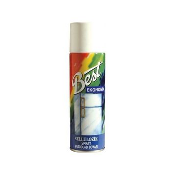Best Mat Siyah 300 ml Sprey Boya