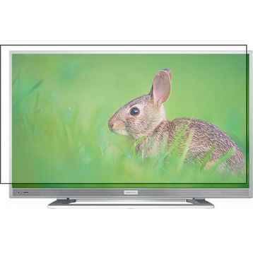 Bestoclass Grundig G32 LS 5533 Uyumlu Tv Ekran Koruyucu