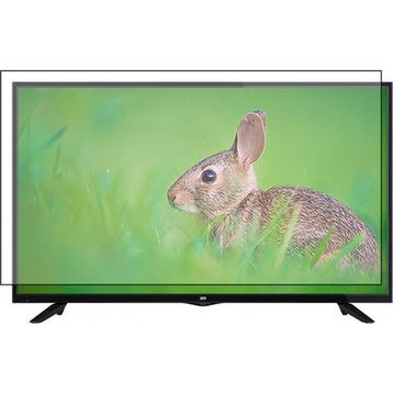 Bestoclass SEG 55SC7610 Uyumlu Tv Ekran Koruyucu
