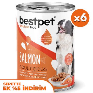 Bestpet Somonlu Parça Etli ve Soslu 6x400 gr Köpek Konservesi
