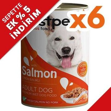 Bestpet Somonlu Parça Etli ve Soslu 6x400 gr Köpek Konservesi