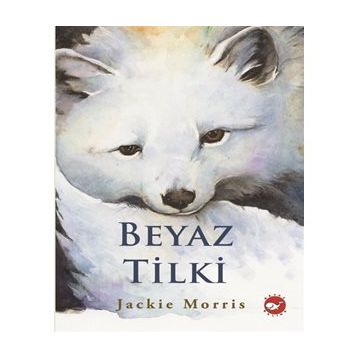 Beyaz Tilki - Jackie Morris