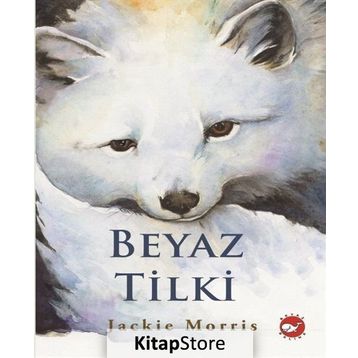 Beyaz Tilki - Jackie Morris