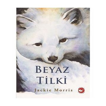 Beyaz Tilki - Jackie Morris