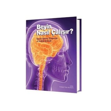 Beyin Nasıl Çalışır? - Peter Abrahams