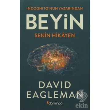 BEYIN - REBECCA TREAYS