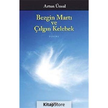 Bezgin Martı ve Çılgın Kelebek - Artun Ünsal