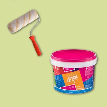 Bi Boya 2.5 lt Filiz Tek Oda Boyama Seti