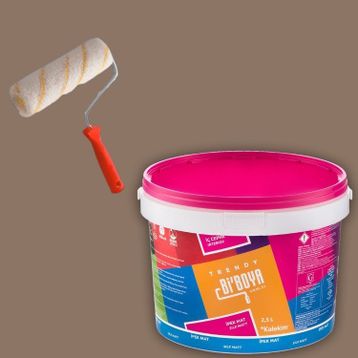 Bi Boya 2.5 lt Güz Tek Oda Boyama Seti