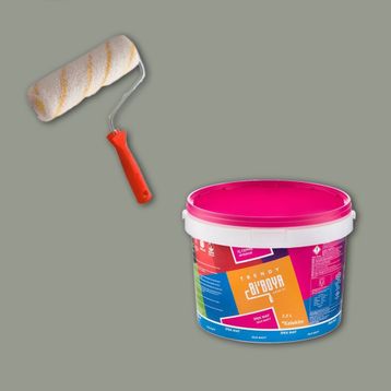 Bi Boya 2.5 lt Nefti Tek Oda Boyama Seti