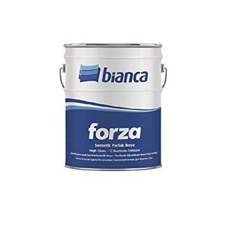 Bianca Import 2009 Turuncu 2,5 lt Sentetik Yağlı Boya Seti