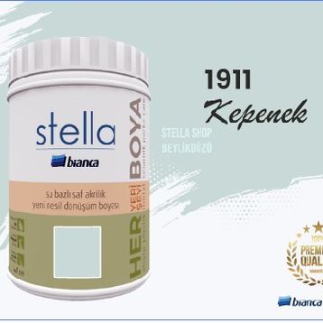 Bianca Stella 1911 Kepenek 0.5 L Su Bazlı Saf Yeni Nesil Akrilik Dönüşüm Boyası