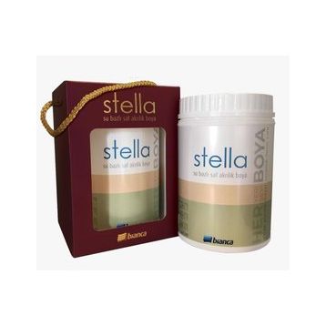 Bianca Stella 2024 Colorate J042 1 lt Su Bazlı Saf Akrilik Boya
