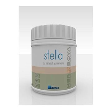 Bianca Stella Antrasit Gri 0.5 L Dönüşüm Boyası