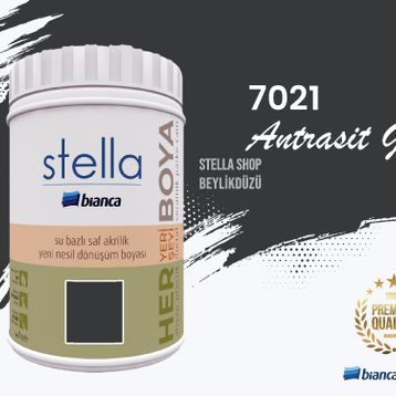 Bianca Stella Antrasit Gri 0.5 L Dönüşüm Boyası