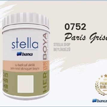Bianca Stella Paris Grisi 1 L Su Bazlı Saf Yeni Nesil Akrilik Dönüşüm Boyası