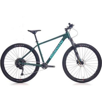 Bianchi 29J Magma Comp 9.1 Cues 10V HD Mat Yeşil 48 Kadro Dağ Bisikleti