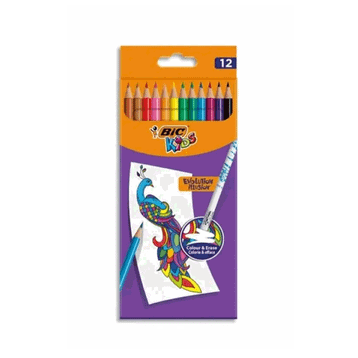 Bic 987868 Evo 12'li Silinebilir Kuru Boya Kalemi