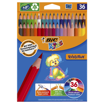 Bic Kids Evolution 36'lı Kuru Boya Kalemi