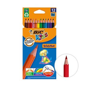 Bic Kids Evolution 82902910 12 Renk Kuru Boya Kalemi